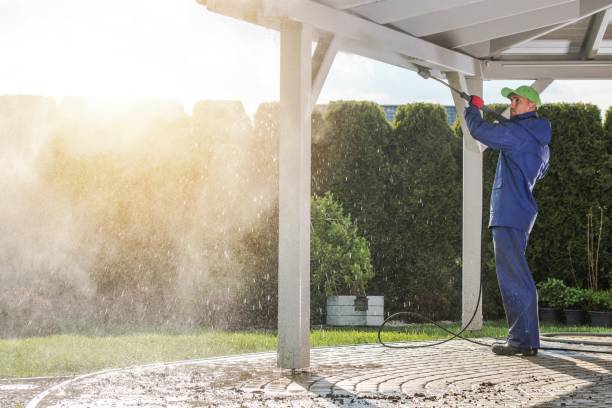 Best Fleet Vehicle Washing  in Lake Holiday, IL