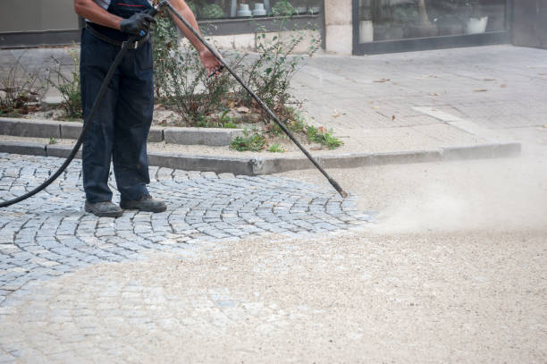  Lake Holiday, IL Pressure Washing Pros
