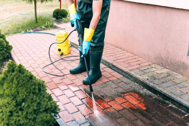 Best Driveway Pressure Washing  in Lake Holiday, IL