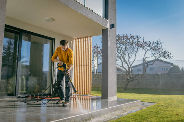 Best Spring Cleaning  in Lake Holiday, IL