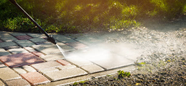 Best House Exterior Washing  in Lake Holiday, IL