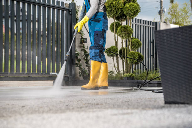 Best Solar Panel Cleaning  in Lake Holiday, IL